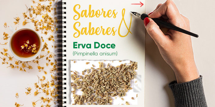 Sabores e saberes - Erva Doce 1